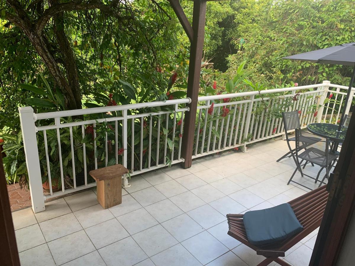 Logement Vacances Gissac Sainte-Anne Extérieur photo